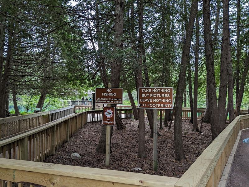 Accessibility And Family Flow