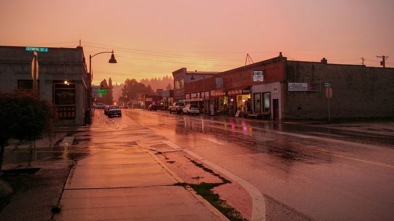 Local Culture, Dining, And The Tenino Creative District