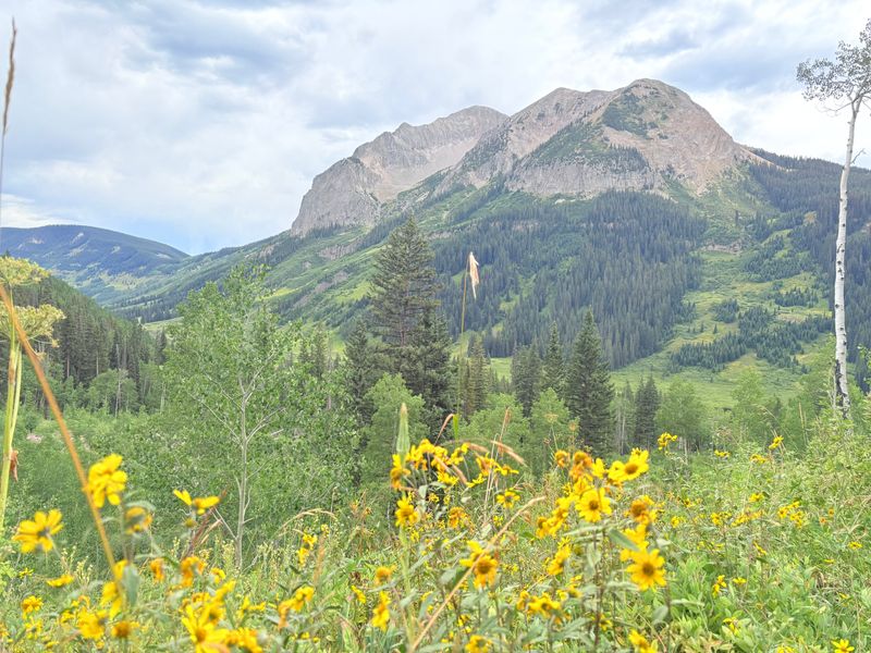 Year-Round Adventure Access