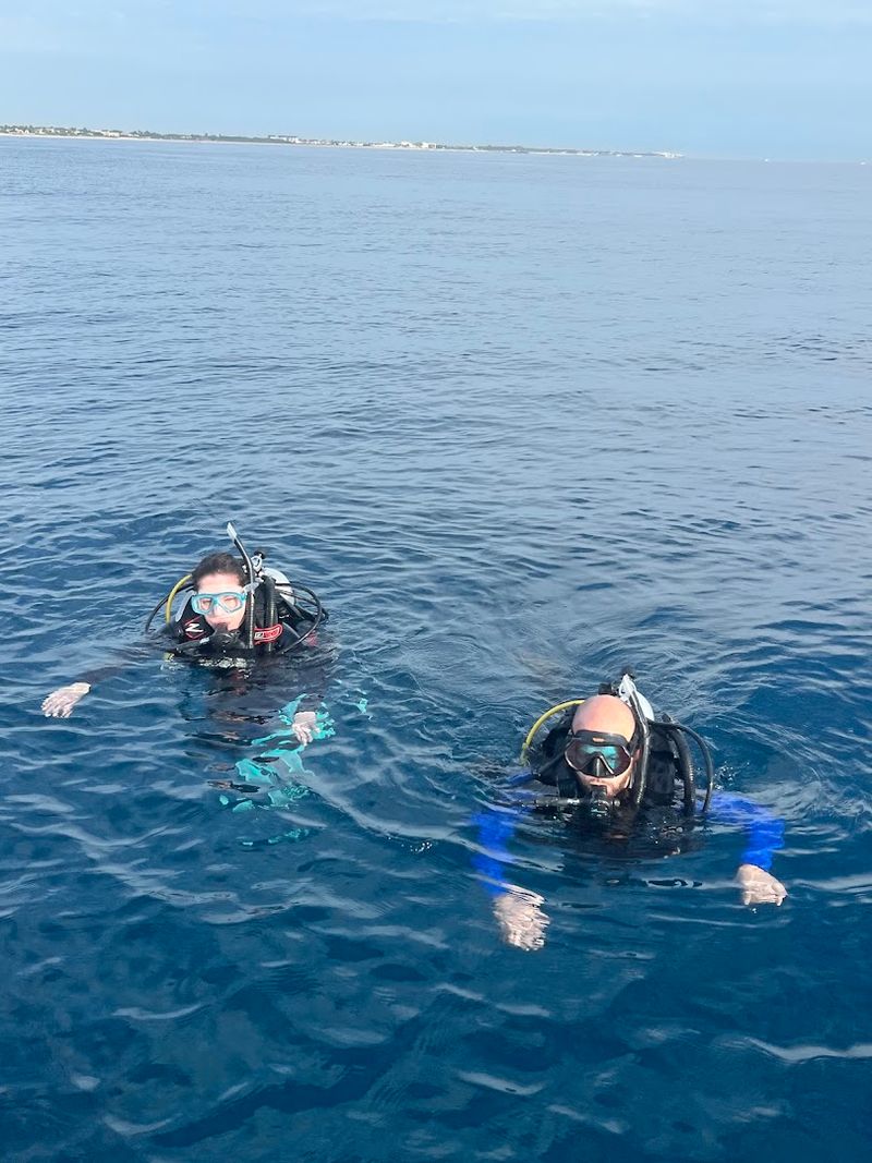 Local Dive Charters Make The Underwater Canyon Accessible Even For Beginners