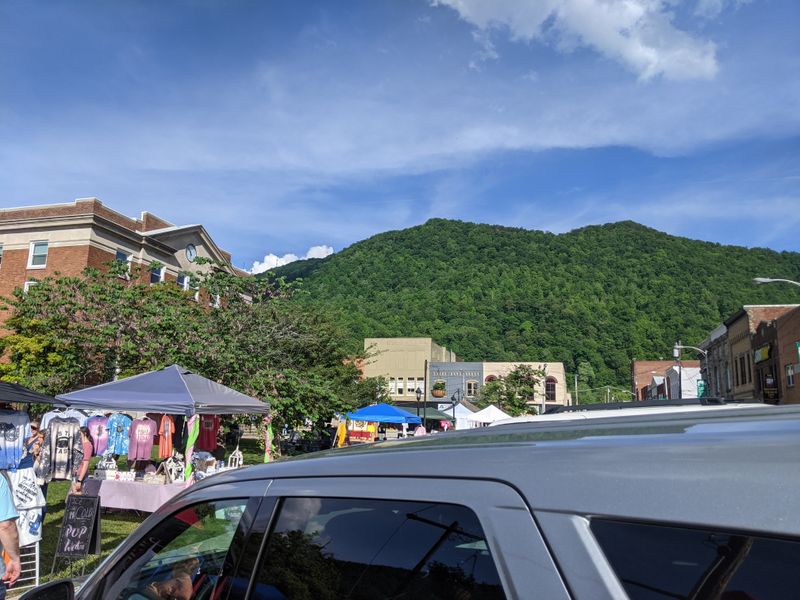 The Annual Kentucky Mountain Laurel Festival