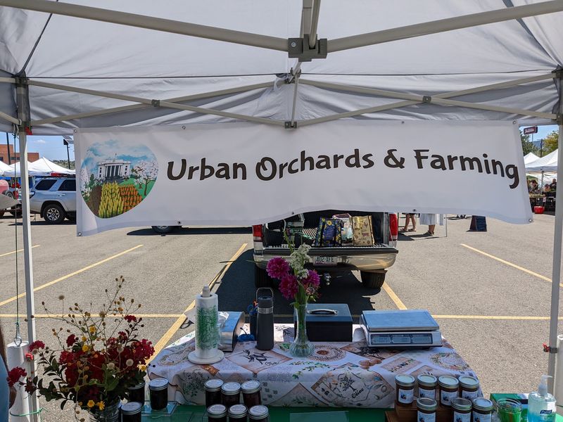 Local Honey 