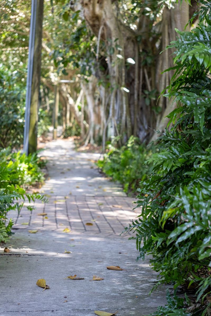 Plan Your Visit: Everything You Need To Know