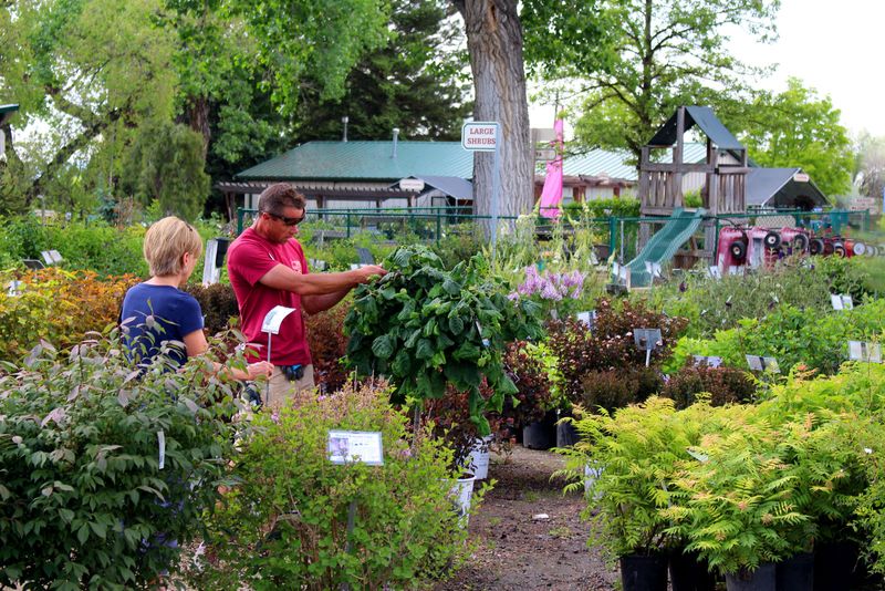 Local Loyalty Comes From Helpful Plant Guidance