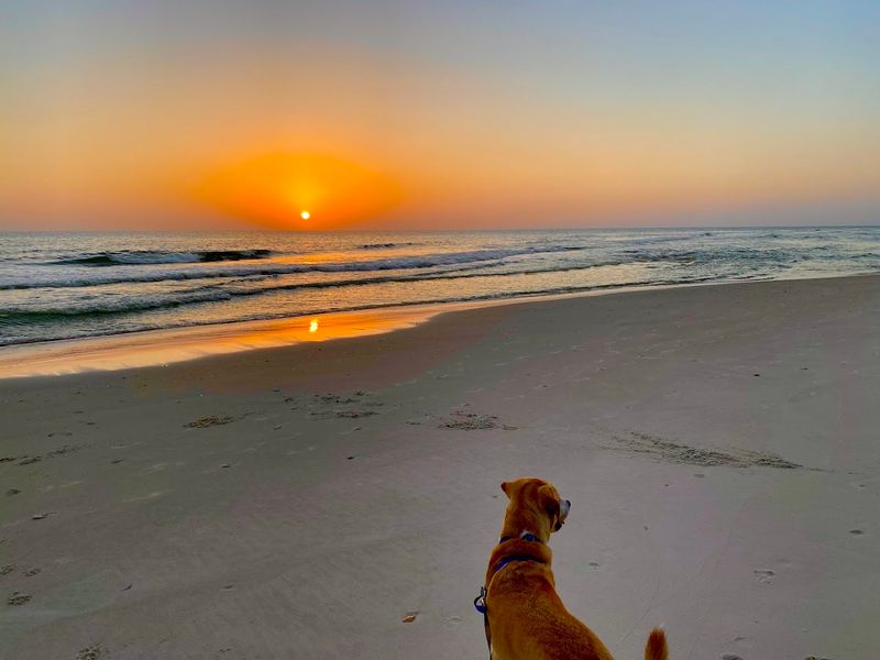 The Laid-Back Vibe Attracts Genuine Beach Lovers