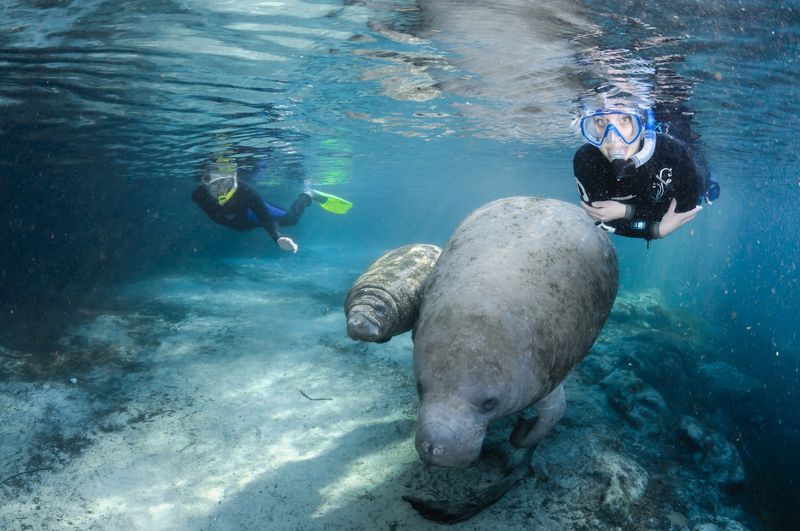 Local Tour Operators Make The Houseboat And Manatee Experience Easy For First-Timers