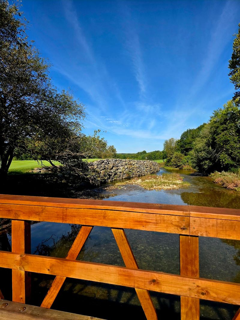 Local Trails And Parks Keep Things Green Close To Home