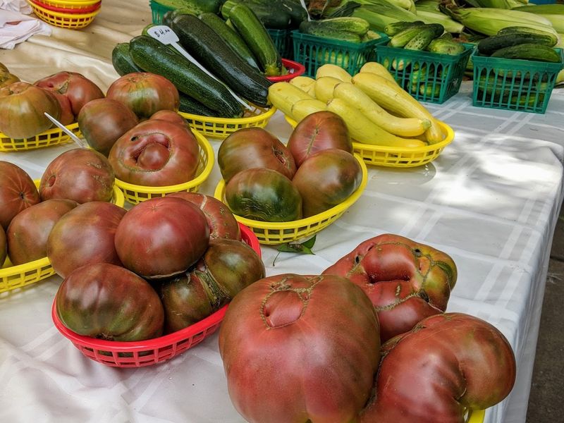 Unexpected Joy Of Spring's First Vegetables