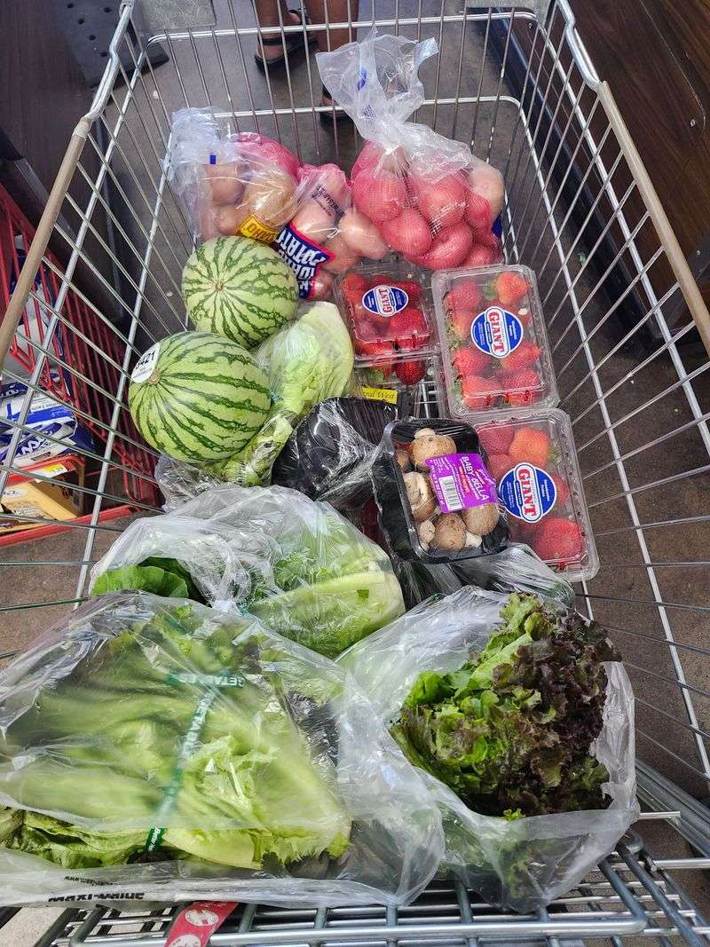 Prices That Stretch Your Budget Without Sacrificing Quality