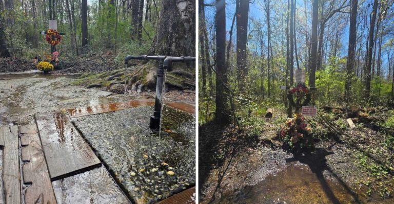 Locals Avoid This Beautiful South Carolina Spring After Dark For A Creepy Reason