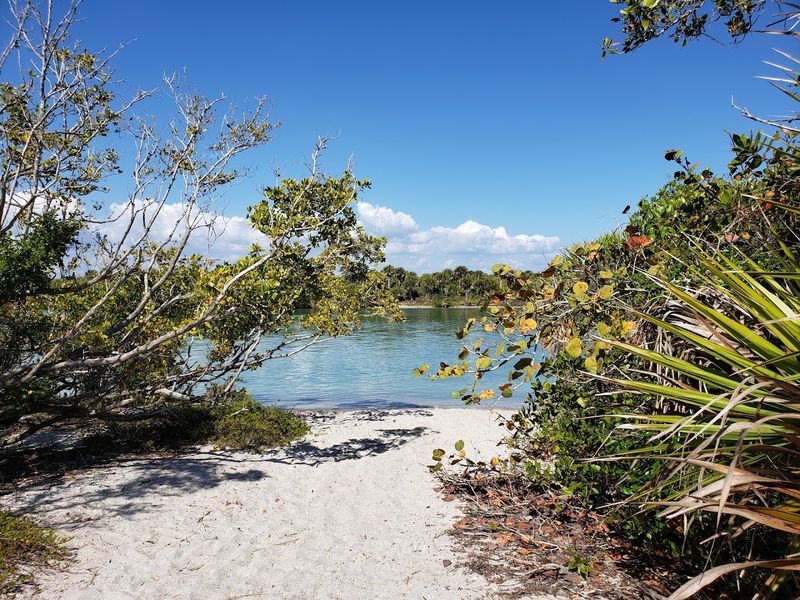 The Prehistoric Magic Behind The Shark Teeth