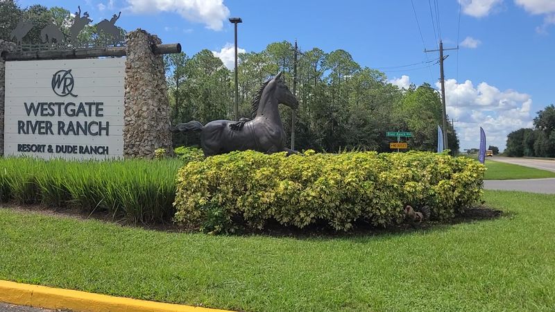Location And Practical Tips For First-Time Visitors