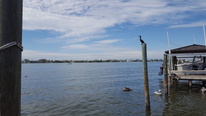 Location Between Sarasota Bay And The Gulf Of Mexico