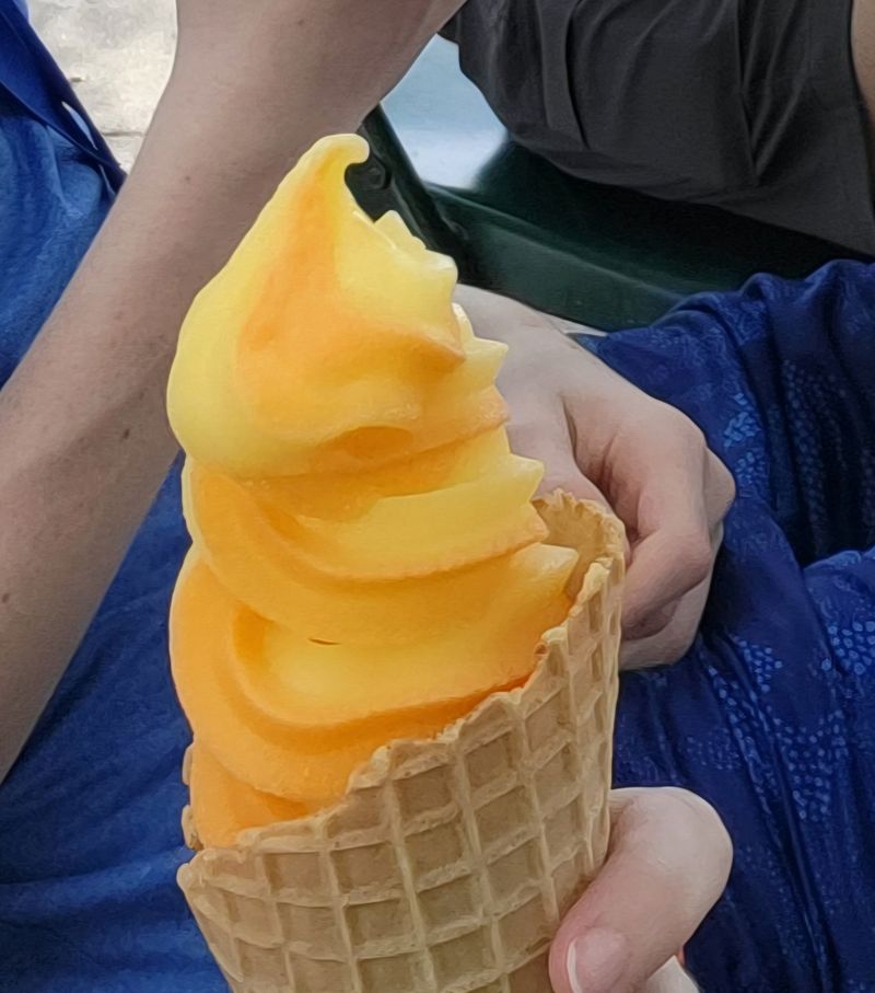 Ice Cream Paradise After Taco Time