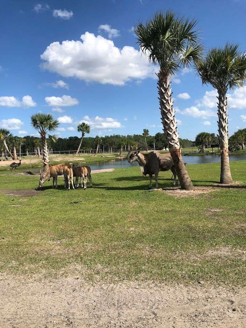 Location, Hours, And Planning Your Visit