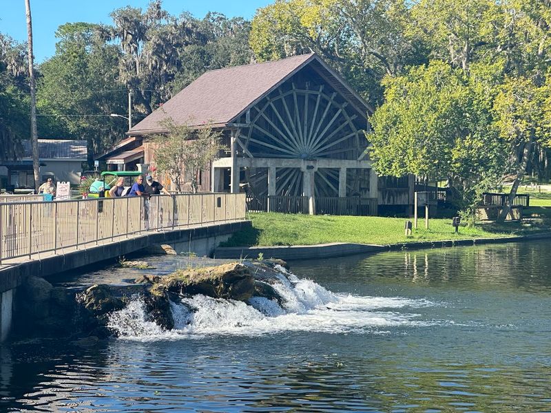 Location Inside A Florida State Park