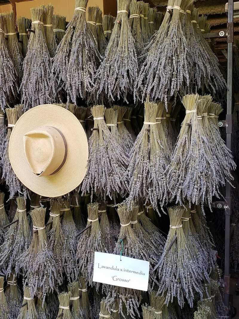 The Farm Operates On A Seasonal Schedule Worth Planning Around