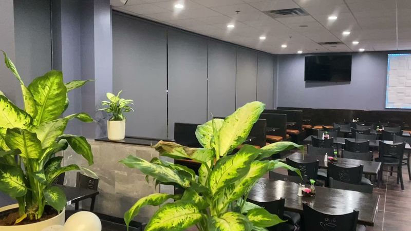 Warm Ambience And Welcoming Service