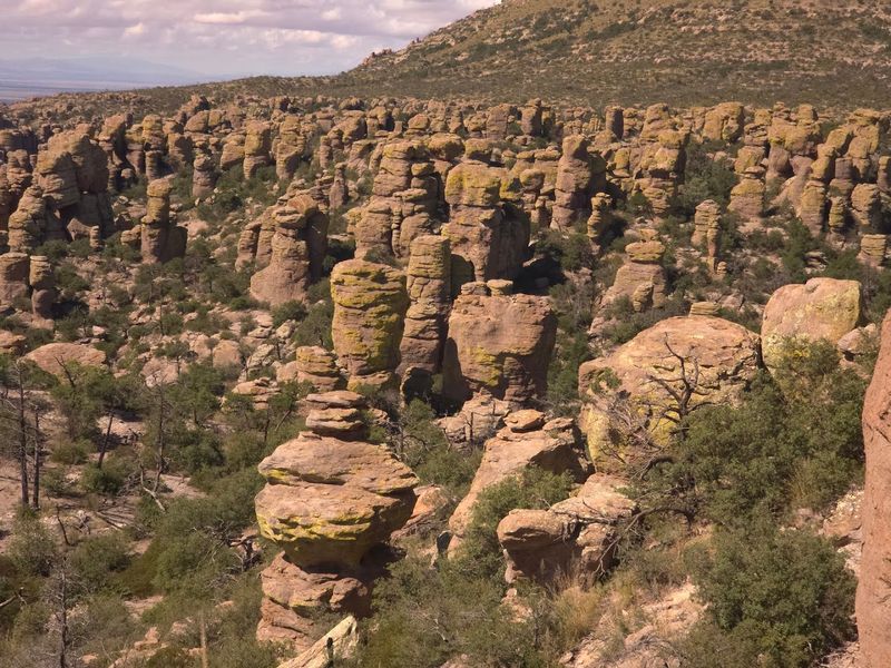 Bonita Canyon Campground, Chiricahua National Monument