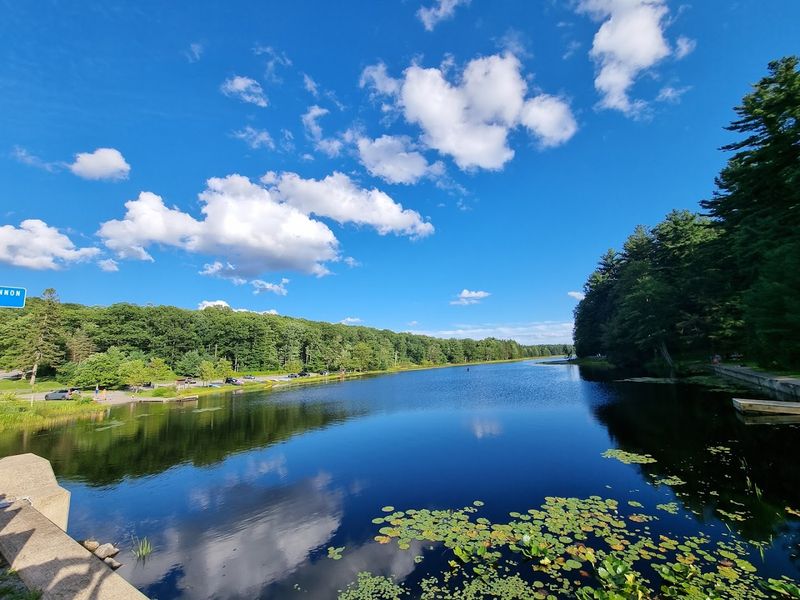 Black Moshannon State Park Beach, Philipsburg