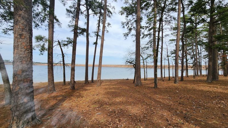 Secluded Cabins Set Deep In Pine Forest