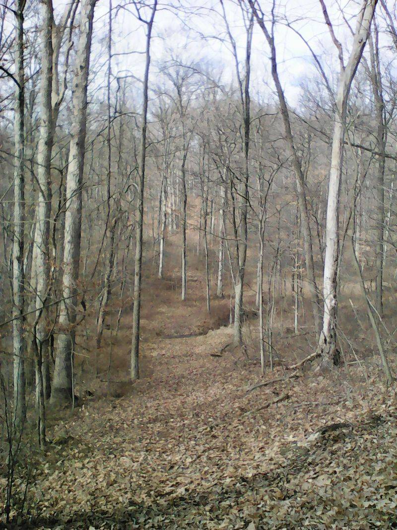 Logan, Hocking County