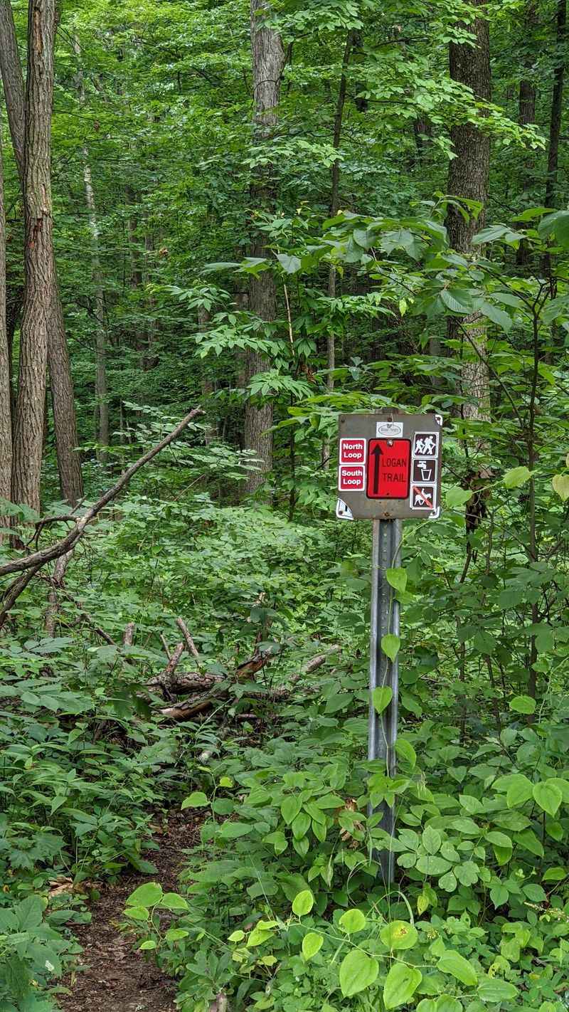 Logan Trail at Tar Hollow State Park, Laurelville