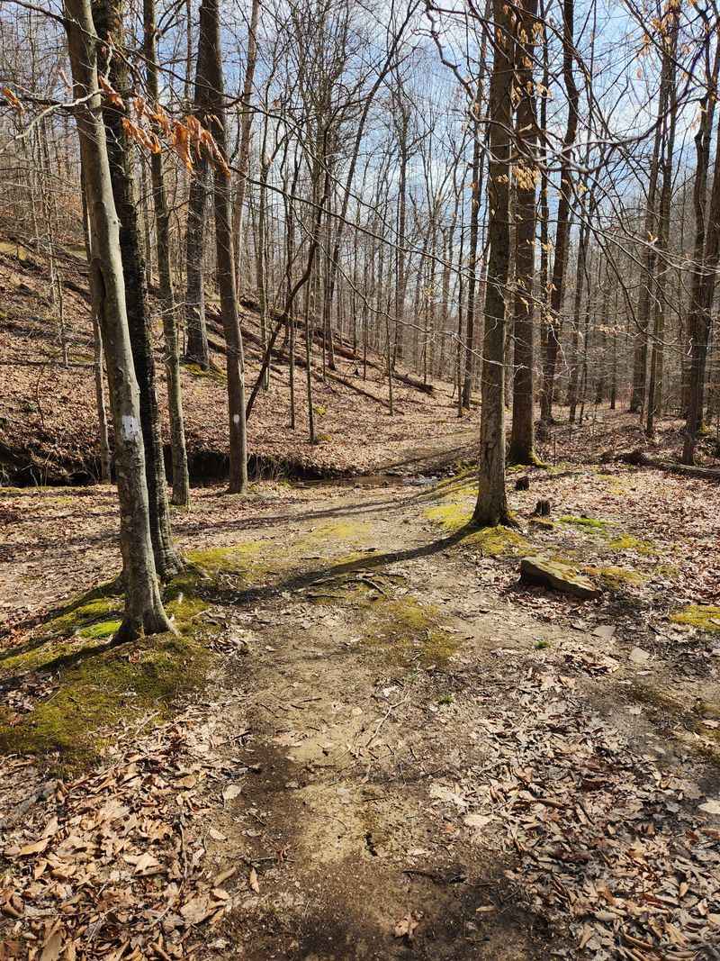 Shawnee Forest Day Hike East Loop – Shawnee State Forest, Near West Portsmouth