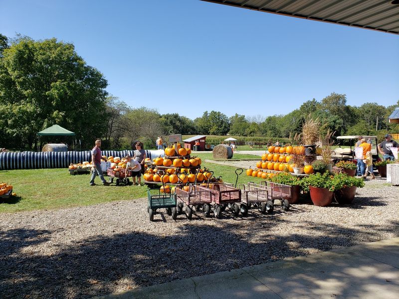 Lohstroh Family Farms, Mount Sterling