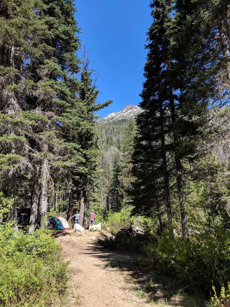 Lone Fir Campground