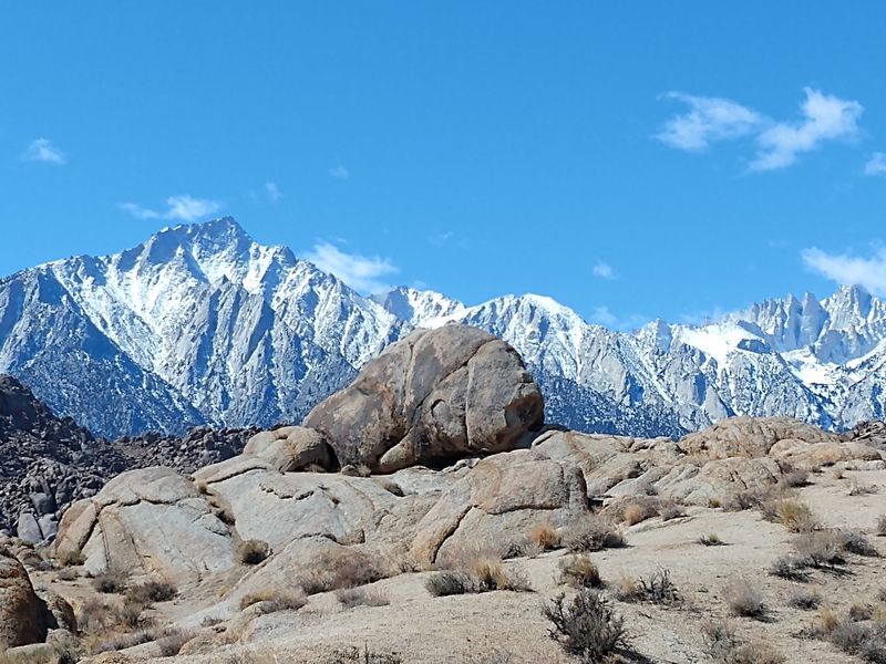Lone Pine