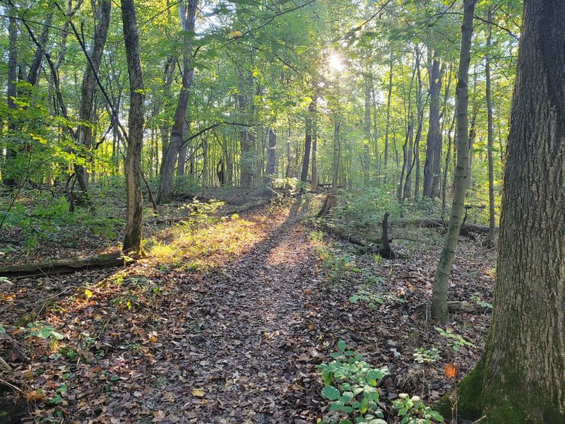 Long Branch Farm And Trails, Goshen