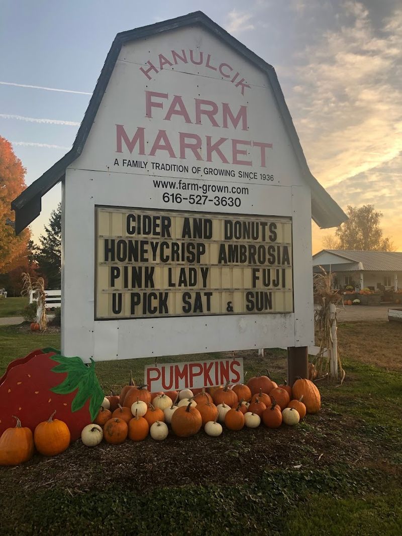 Hanulcik Farm Market & Orchard, Ionia
