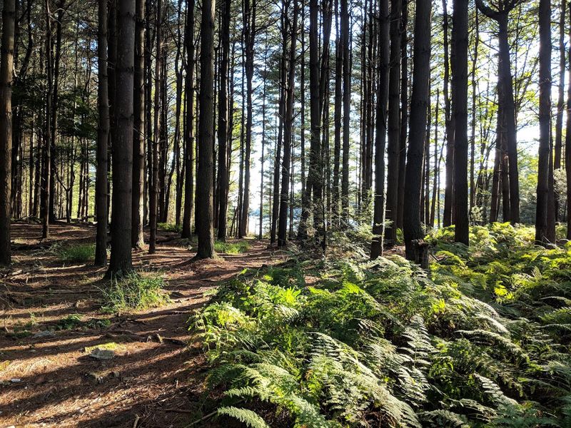 Long Pine Run Reservoir
