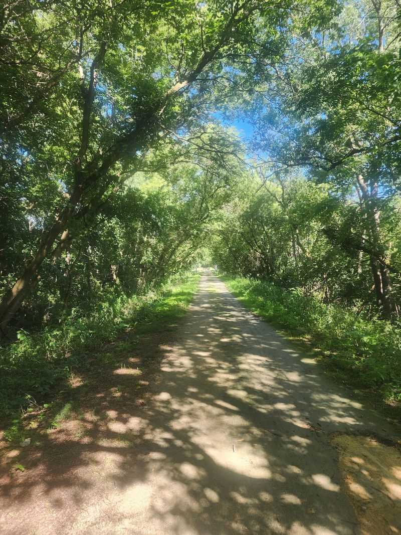 Long Prairie Trail Turns a Railroad Bed Into a Long Rural Outing