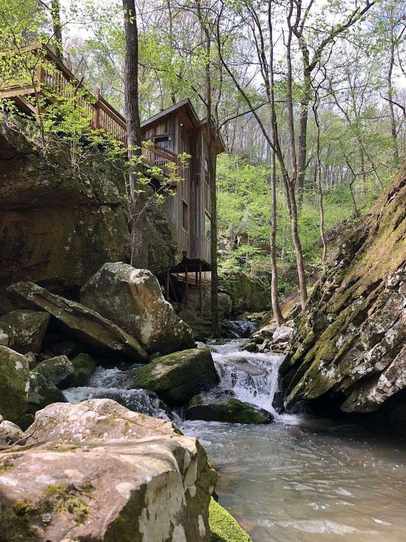 Longbow Resort, Prim