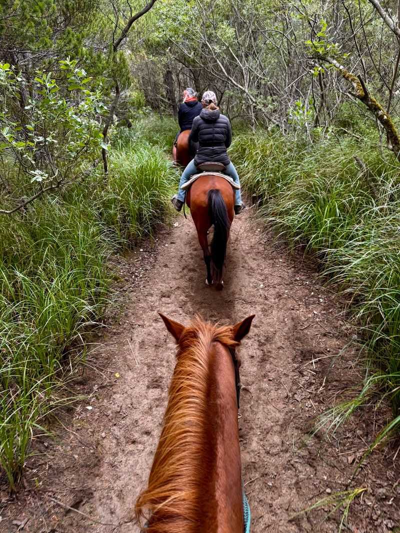 Longer Rides And Dune Trails For The Adventurous