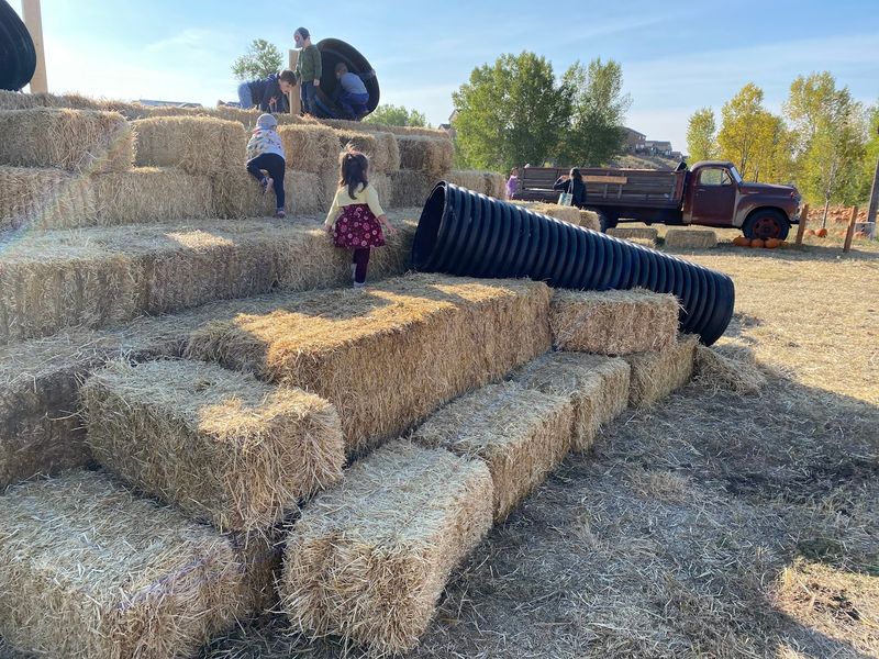 Longneck Pumpkin Farm