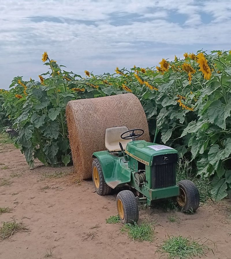 Look Beyond The Spectacle And Notice The Farm Itself Look Beyond The Spectacle And Notice The Farm Itself