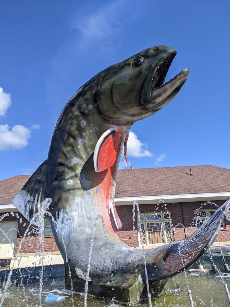 Look Closely At The Brook Trout Details Look Closely At The Brook Trout Details