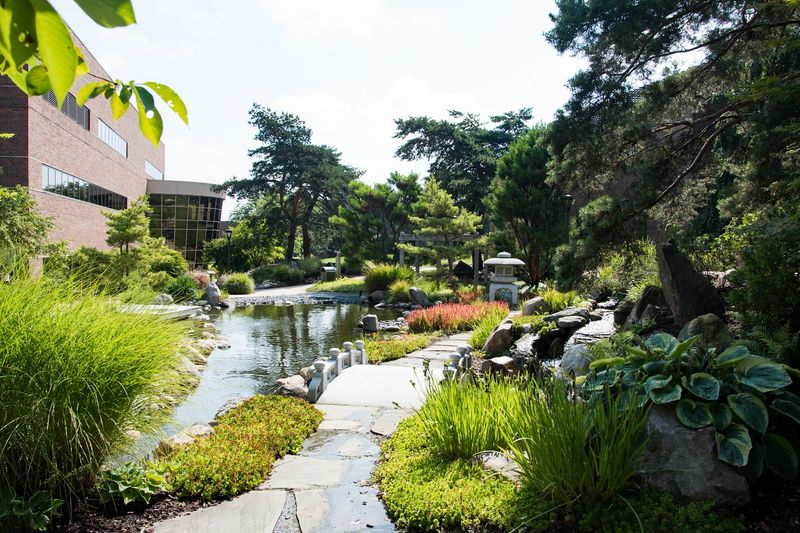 Treat The Hill Like The Garden's Quiet Center Of Gravity