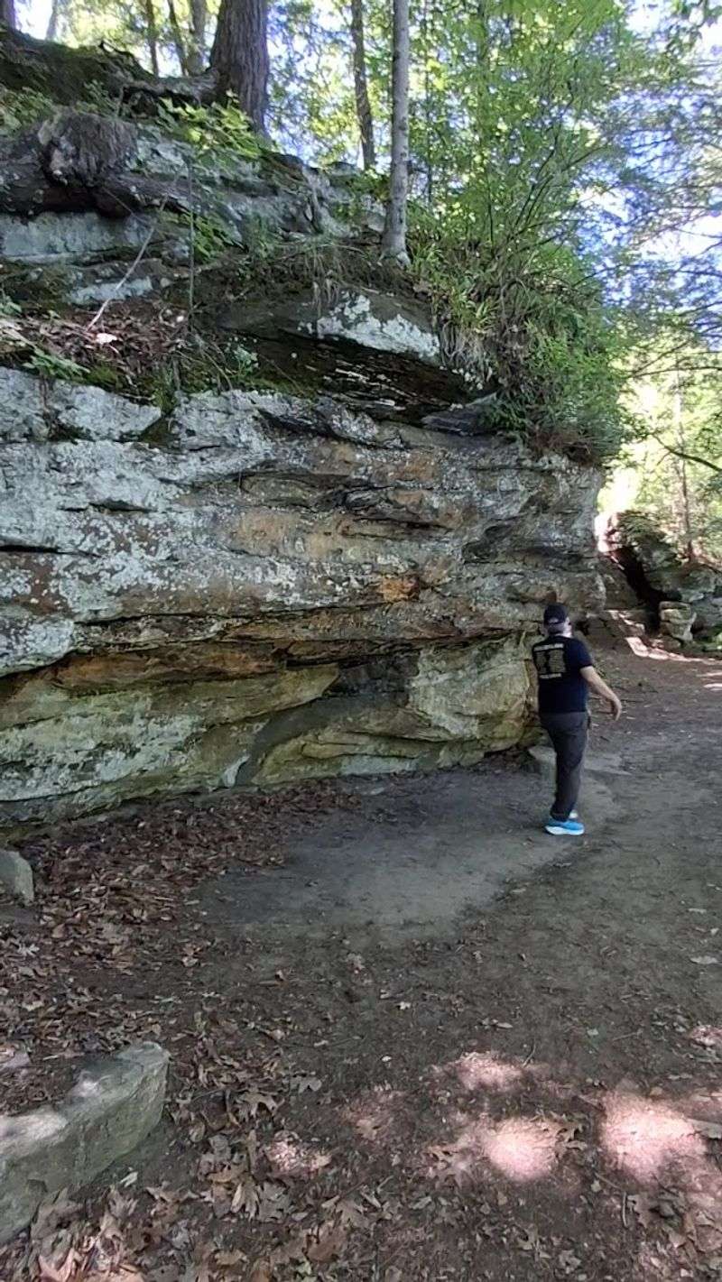 Look For The Smaller Living Details On The Stone