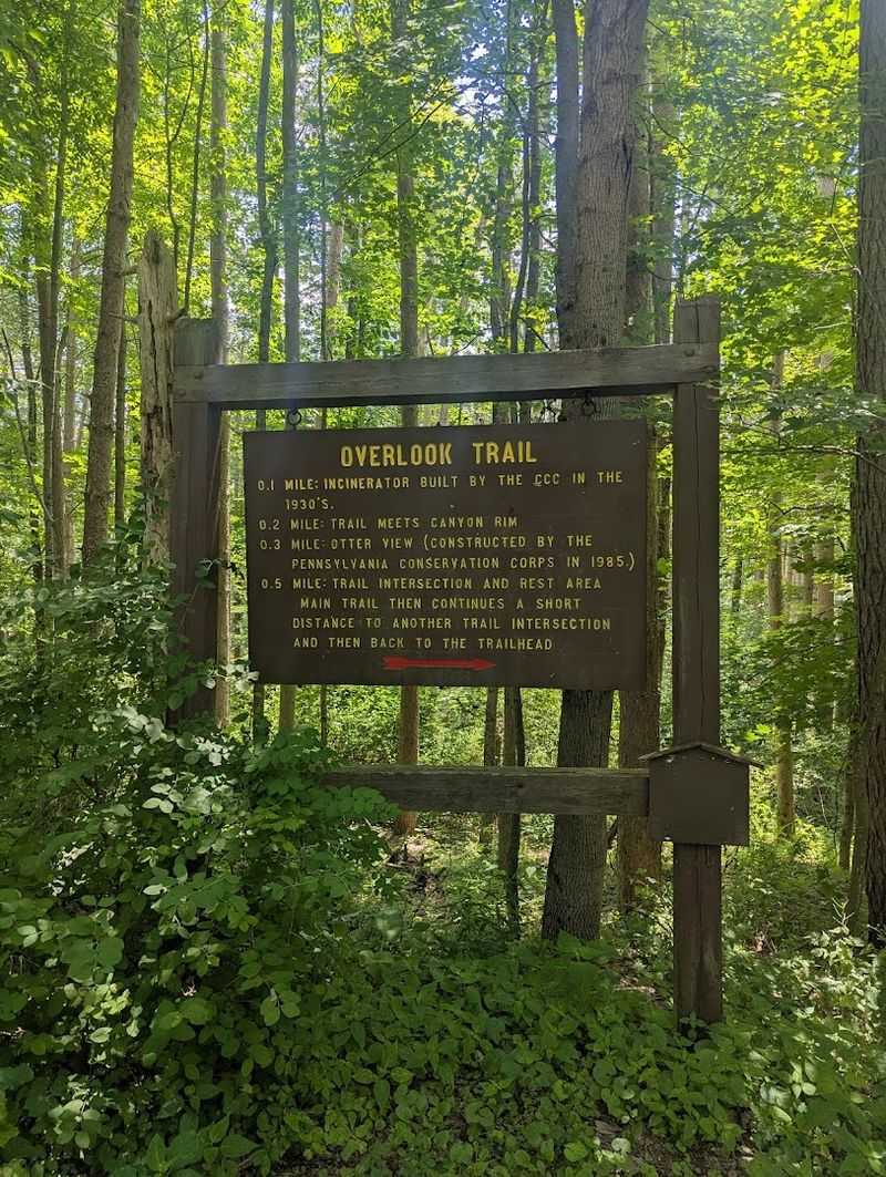 Overlook Trail And Vista Ridge Trail Loop, Pennsylvania