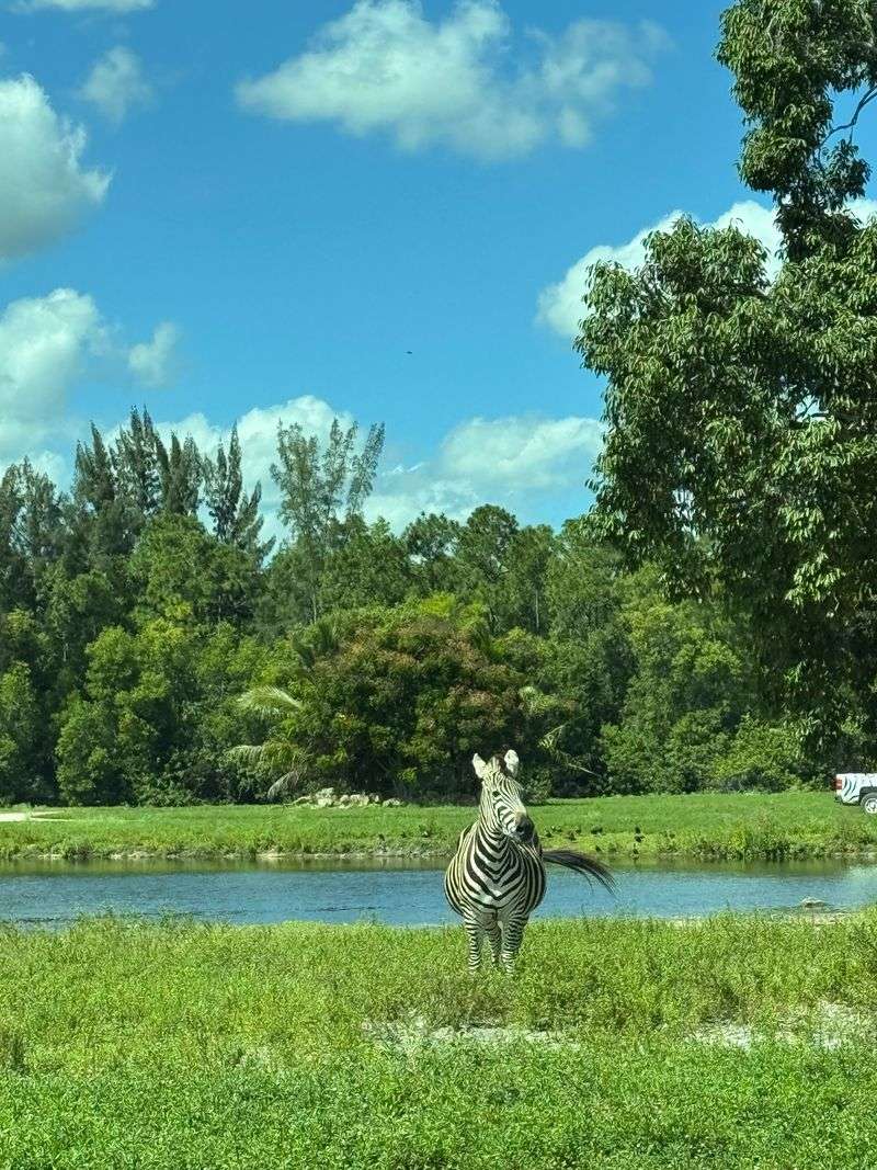 A Little History, A Lot Of Heart