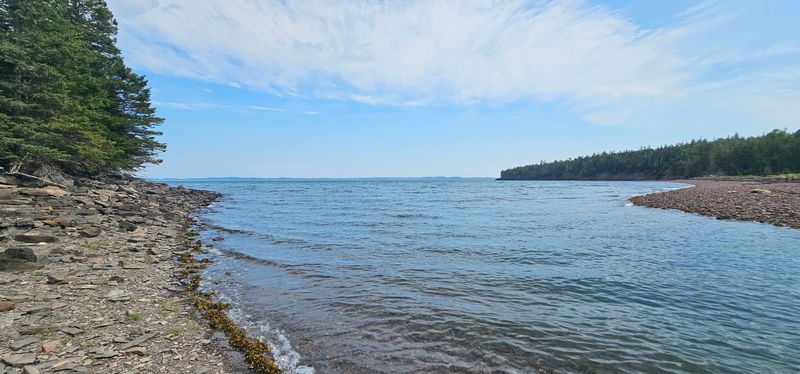Loring Cove Preserve, Perry