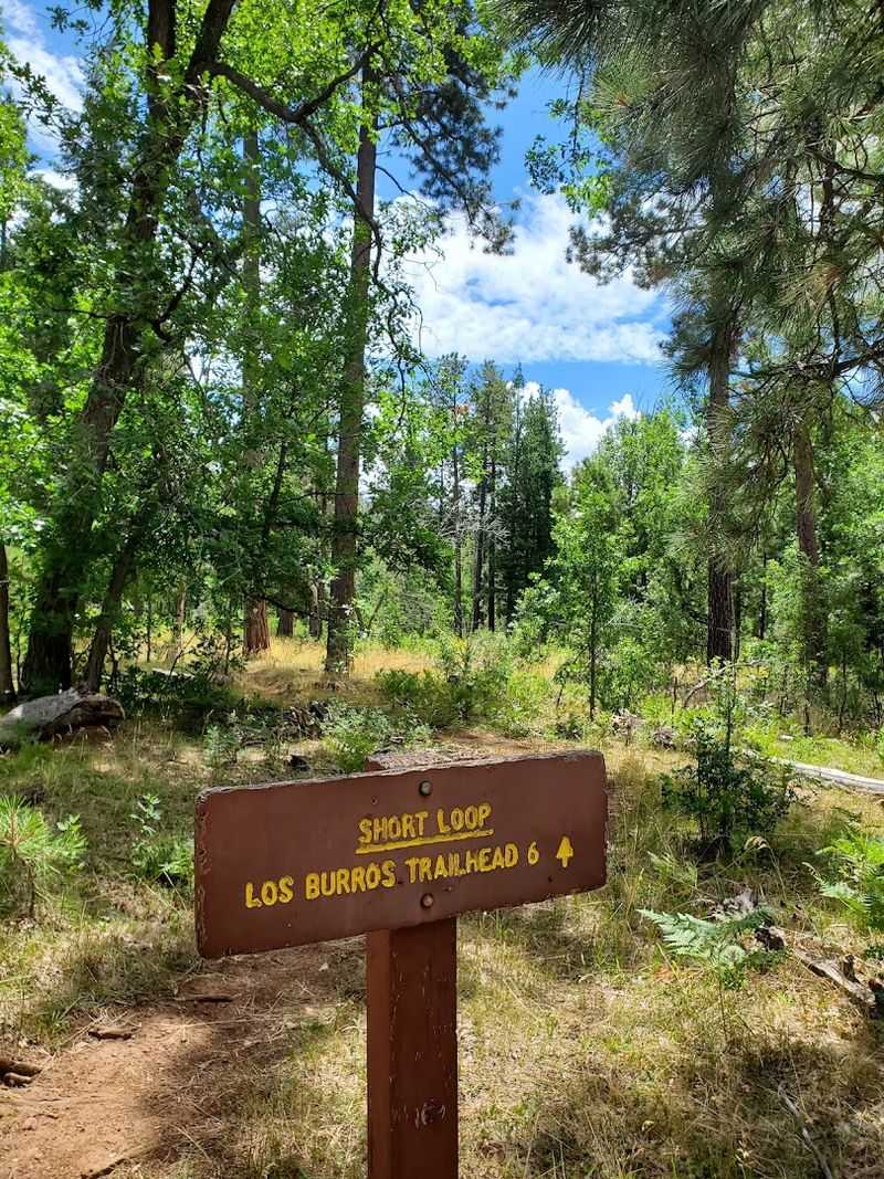 Los Burros Trail, White Mountains / Pinetop-Lakeside Area Los Burros Trail, White Mountains / Pinetop-Lakeside Area
