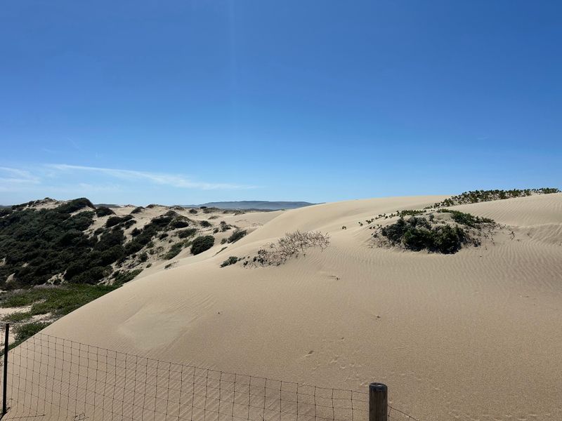 Guadalupe-Nipomo Dunes, Guadalupe