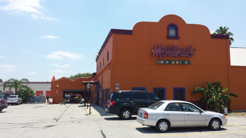 Molina’s Cantina