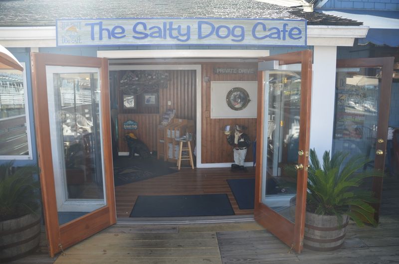 Salty Dog Cafe – Hilton Head Island