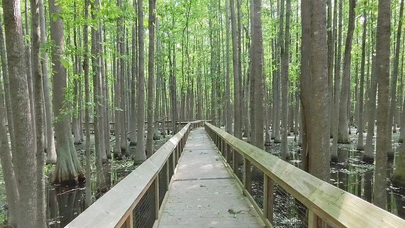Louisiana Purchase State Park